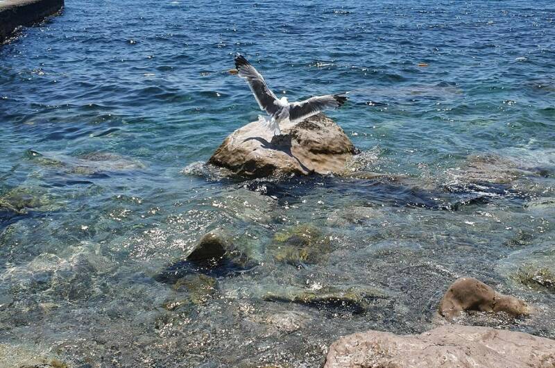 Изображение Изображение гостиницы &quot;Гостевой дом «Райский уголок»&quot; #7 #7