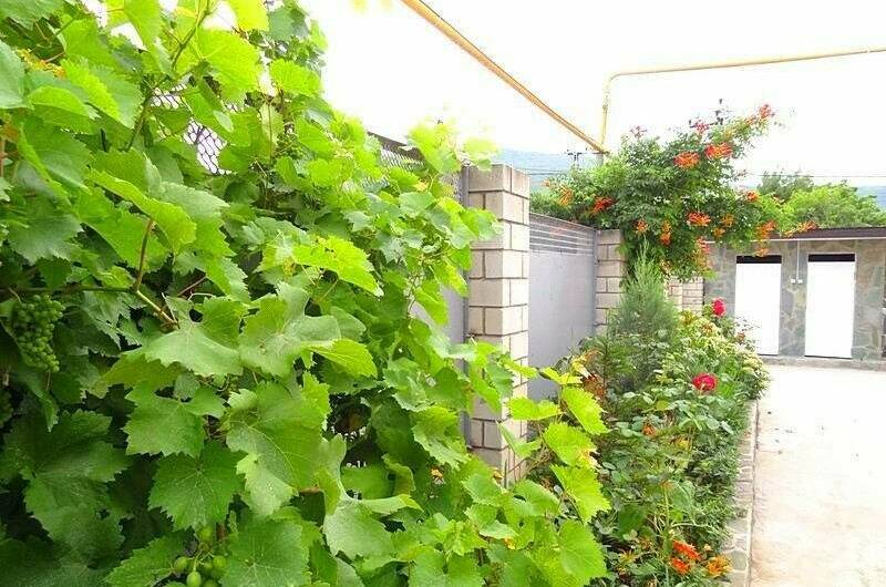 Изображение Изображение гостиницы "Гостевой дом «Helen»" #2 #2