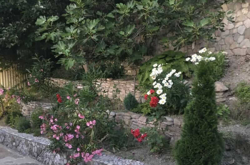 Изображение Изображение гостиницы &quot;Гостевой дом «Александра»&quot; #8 #8