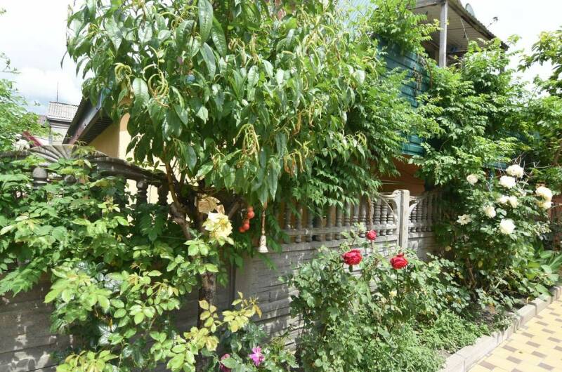 Изображение Изображение гостиницы "Гостевой дом «Астра»" #6 #6