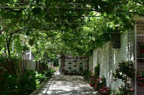 Изображение Изображение гостиницы "Гостевой дом «Лара»" #3 #3