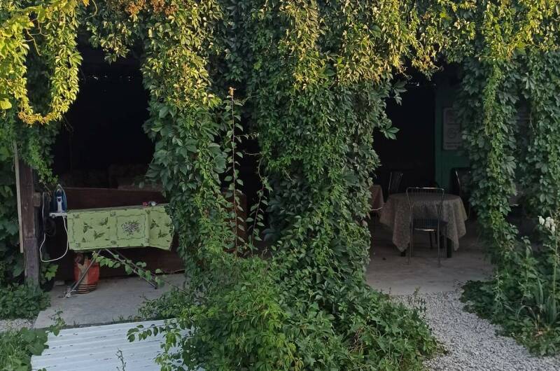 Изображение Изображение гостиницы &quot;Гостевой дом «У Алима»&quot; #8 #8