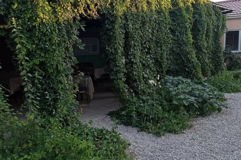 Изображение Изображение отеля / гостиницы "Гостевой дом «У Алима»" #11 #9