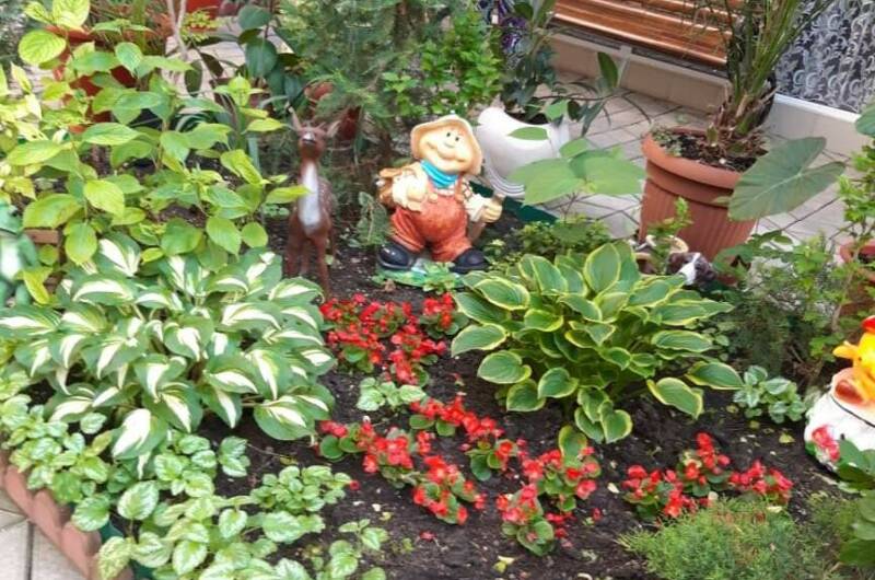 Изображение Изображение гостиницы "Гостевой дом «Валентина»" #5 #5