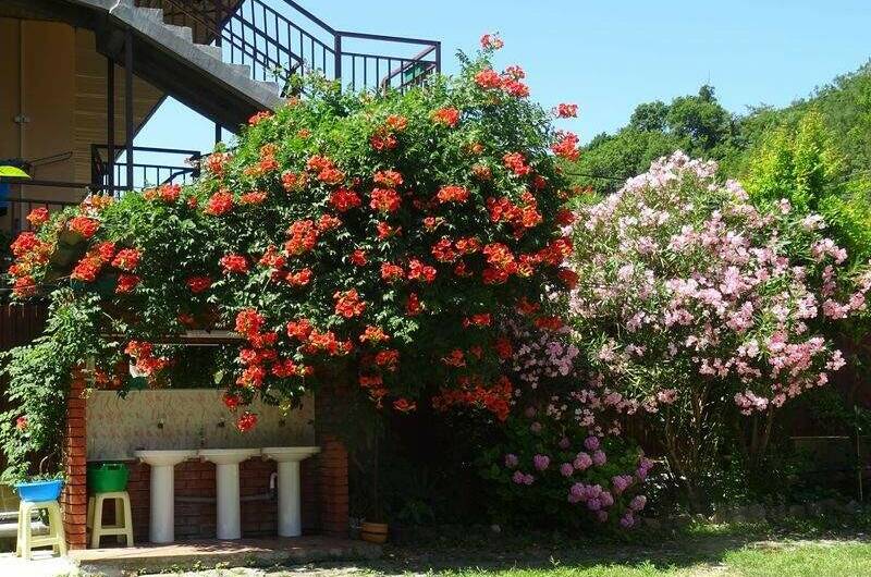 Изображение Изображение гостиницы &quot;Гостевой дом «У Сергея»&quot; #7 #7