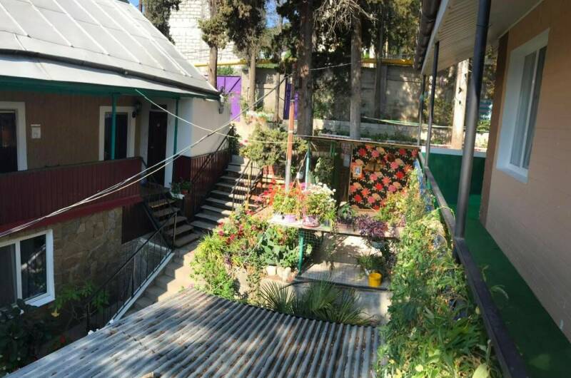 Изображение Изображение гостиницы "Гостевой дом «Кипарис»" #1 #1