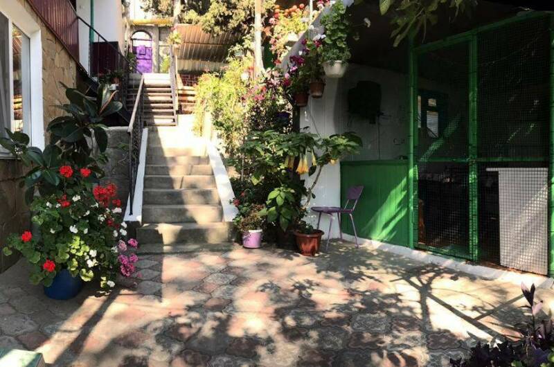 Изображение Изображение гостиницы "Гостевой дом «Кипарис»" #2 #2