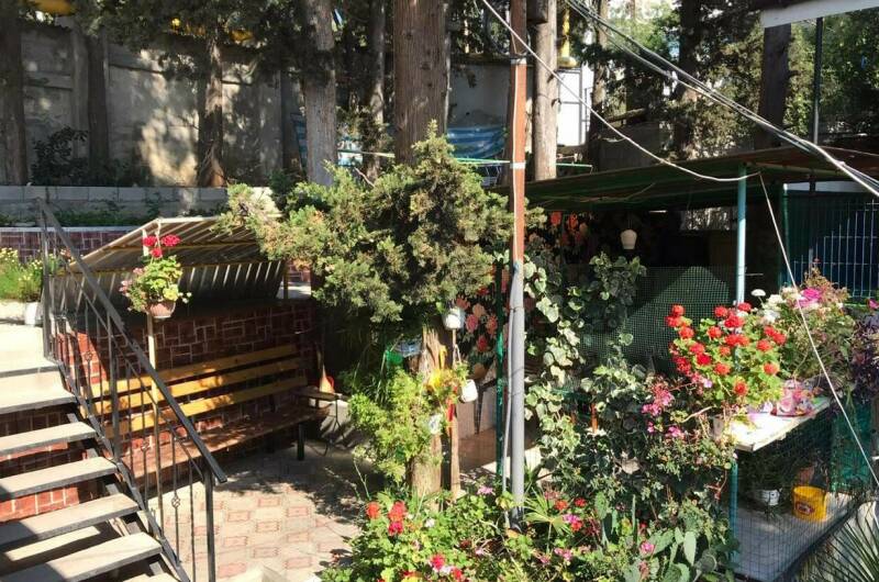 Изображение Изображение гостиницы "Гостевой дом «Кипарис»" #3 #3