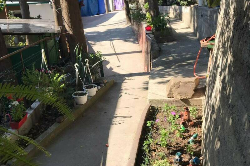 Изображение Изображение гостиницы "Гостевой дом «Кипарис»" #4 #4