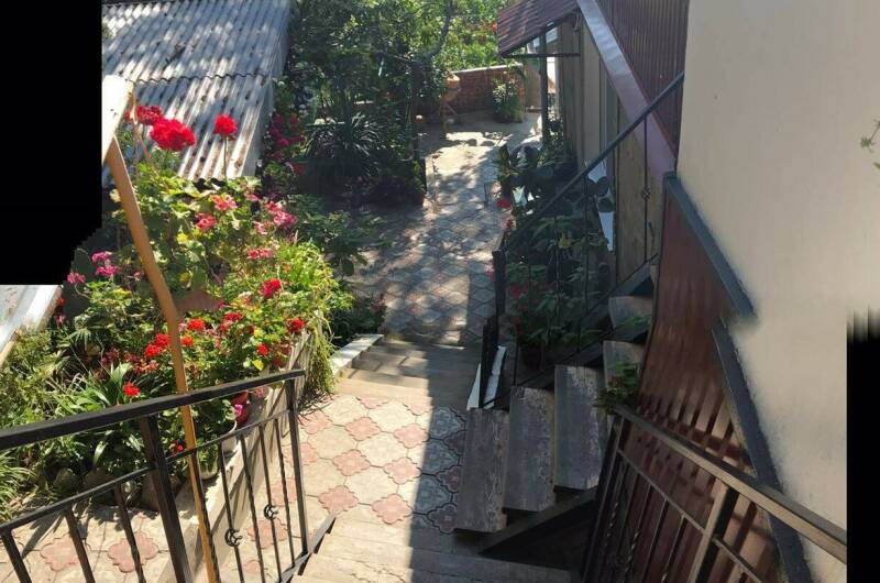 Изображение Изображение гостиницы "Гостевой дом «Кипарис»" #5 #5