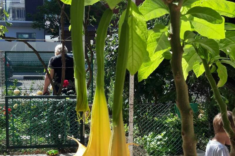 Изображение Изображение гостиницы "Гостевой дом на Школьной" #2 #2