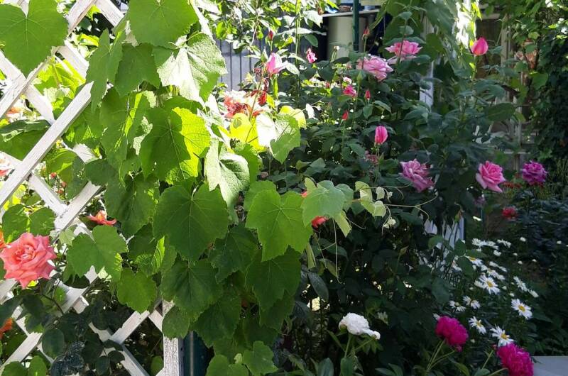 Изображение Изображение гостиницы "Гостевой дом на Школьной" #8 #8