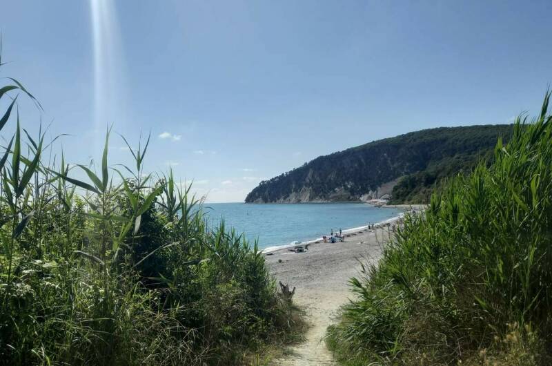 Изображение Изображение гостиницы &quot;База отдыха «Триумф»&quot; #2 #2