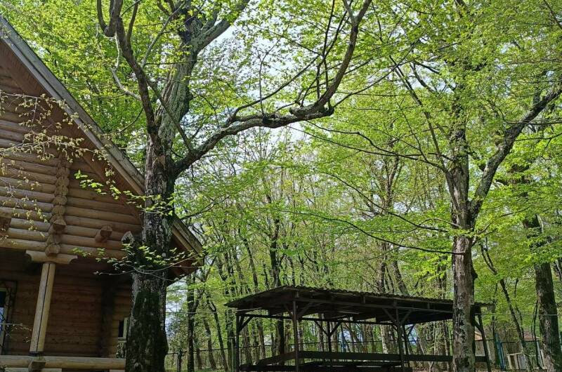 Изображение Изображение гостиницы &quot;База отдыха «Триумф»&quot; #4 #4