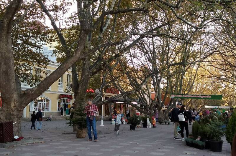 Изображение Изображение гостиницы &quot;Гостевые комнаты «Прибойная 8»&quot; #5 #5