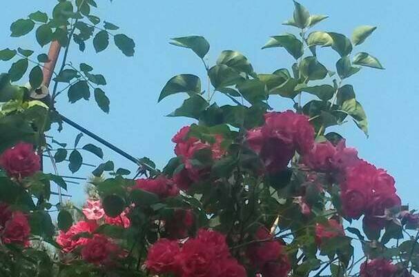 Изображение Изображение гостиницы &quot;Гостевые комнаты «Прибойная 8»&quot; #6 #6