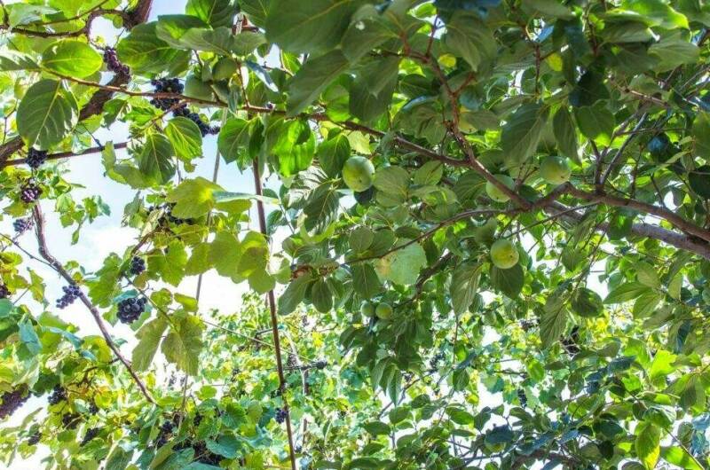 Изображение Изображение гостиницы &quot;Гостевые комнаты «Прибойная 8»&quot; #8 #8