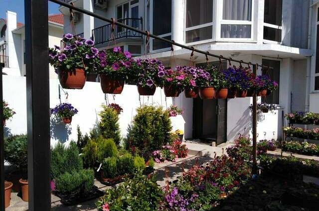 Изображение Изображение гостиницы &quot;Гостевой дом «Долина цветов»&quot; #3 #3