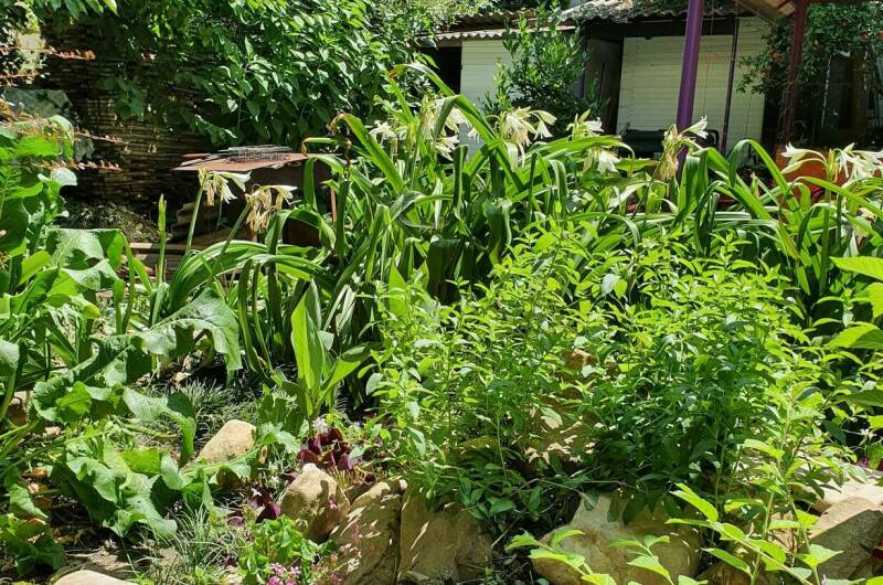 Изображение Изображение гостиницы "Гостевой дом «У моря»" #3 #3