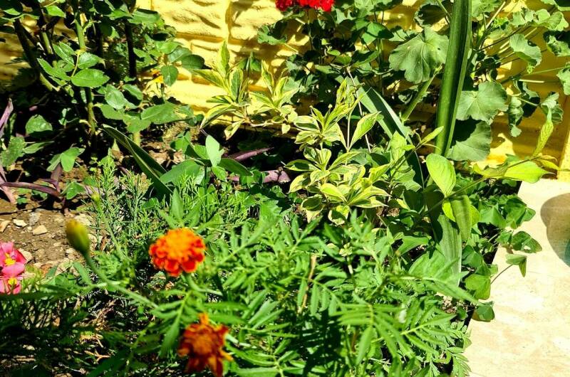 Изображение Изображение гостиницы "Гостевой дом «У Моря»" #2 #2