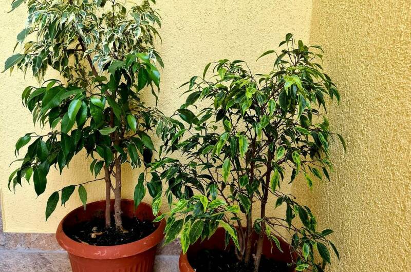 Изображение Изображение гостиницы "Гостевой дом «У Моря»" #3 #3