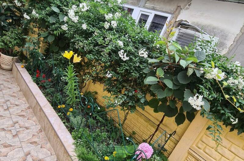 Изображение Изображение гостиницы "Гостевой дом «У Моря»" #6 #6