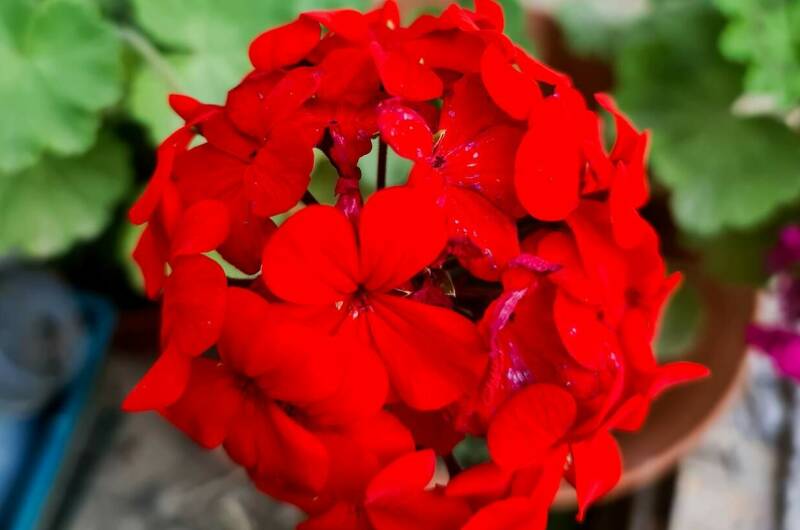 Изображение Изображение гостиницы "Гостевой дом «У Моря»" #8 #8