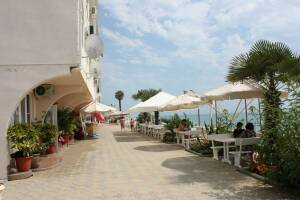 Изображение отеля / гостиницы "Отель «Дельфин»"