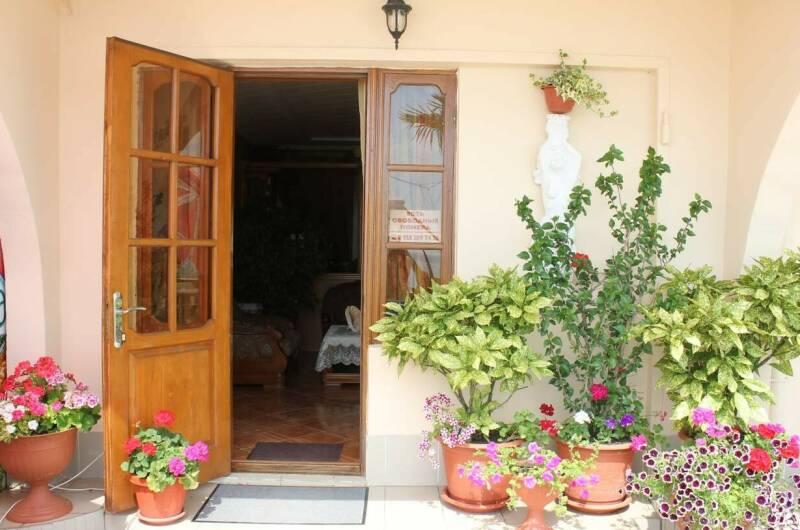 Изображение Изображение гостиницы &quot;Отель «Дельфин»&quot; #7 #7