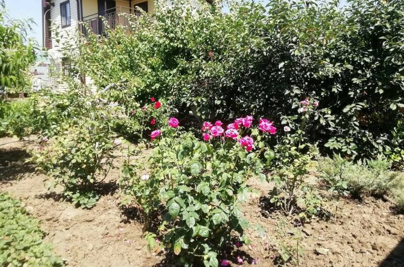 Изображение Изображение квартиры &quot;Этаж под ключ&quot; #7 #7