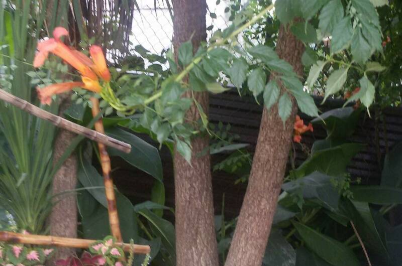 Изображение Изображение гостиницы "Гостевой дом «Эвкалипт»" #3 #3