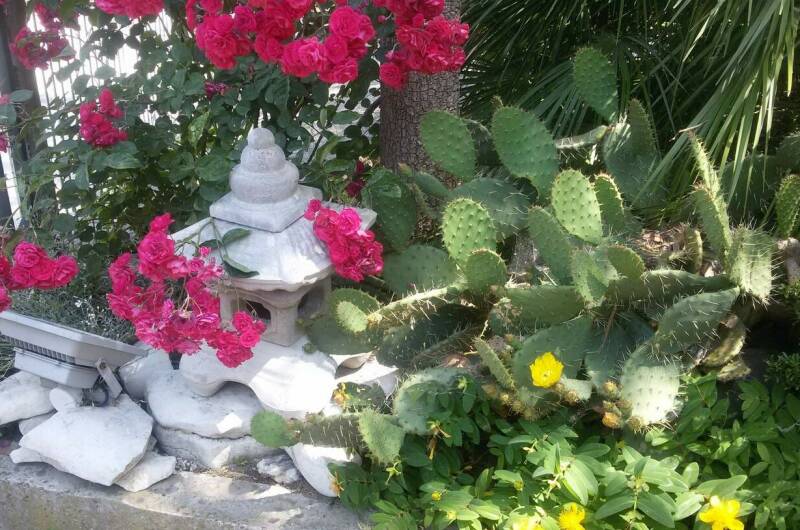 Изображение Изображение гостиницы "Гостевой дом «Эвкалипт»" #4 #4