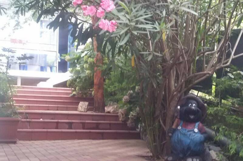 Изображение Изображение гостиницы "Гостевой дом «Эвкалипт»" #8 #8