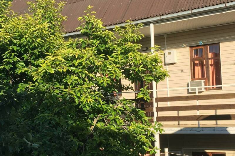 Изображение Изображение гостиницы "Гостевой дом «На Ростовской»" #1 #1