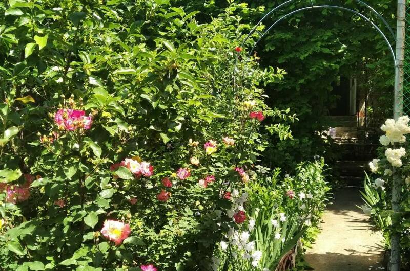 Изображение Изображение квартиры "Домик на Лесной 27" #3 #3