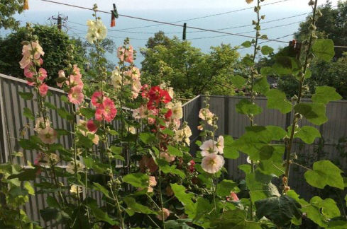 Изображение Изображение гостиницы "Гостевой дом «У Наталии»" #2 #2