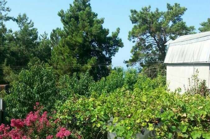 Изображение Изображение гостиницы &quot;Гостевой дом «Зара»&quot; #2 #2