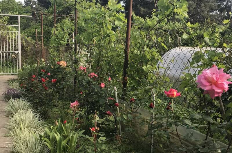 Изображение Изображение гостиницы &quot;Гостевой дом «Зара»&quot; #3 #3