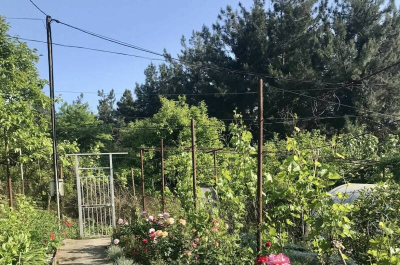 Изображение Изображение гостиницы &quot;Гостевой дом «Зара»&quot; #8 #8