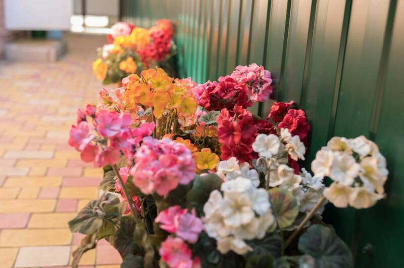 Изображение Изображение гостиницы &quot;Гостевой дом «Надежда»&quot; #6 #6