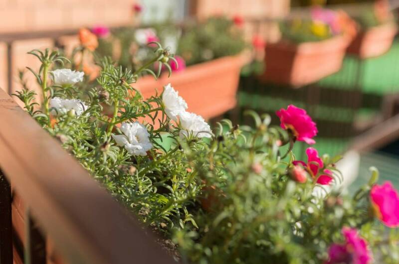 Изображение Изображение отеля / гостиницы "Гостевой дом «Надежда»" #10 #8