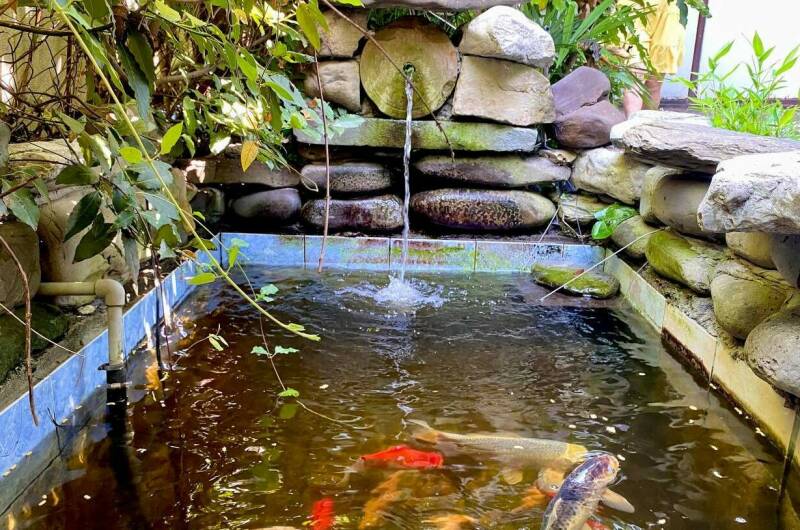 Изображение Изображение гостиницы &quot;Гостевой дом «Viktori»&quot; #1 #1