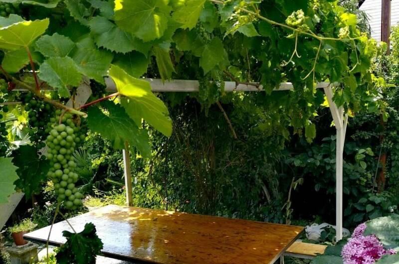 Изображение Изображение гостиницы &quot;Гостевой дом «Viktori»&quot; #5 #5