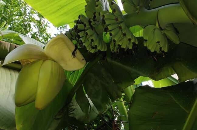 Изображение Изображение гостиницы &quot;Гостевой дом «Viktori»&quot; #6 #6