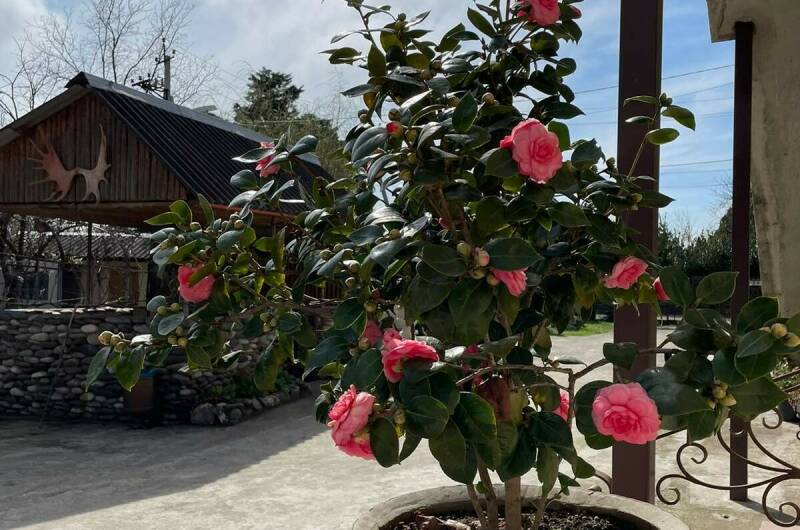 Изображение Изображение гостиницы &quot;Гостевой дом «Эйва»&quot; #2 #2