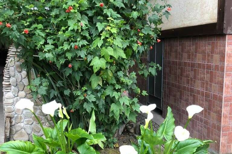 Изображение Изображение гостиницы "Гостевой дом «Усадьба»" #3 #3