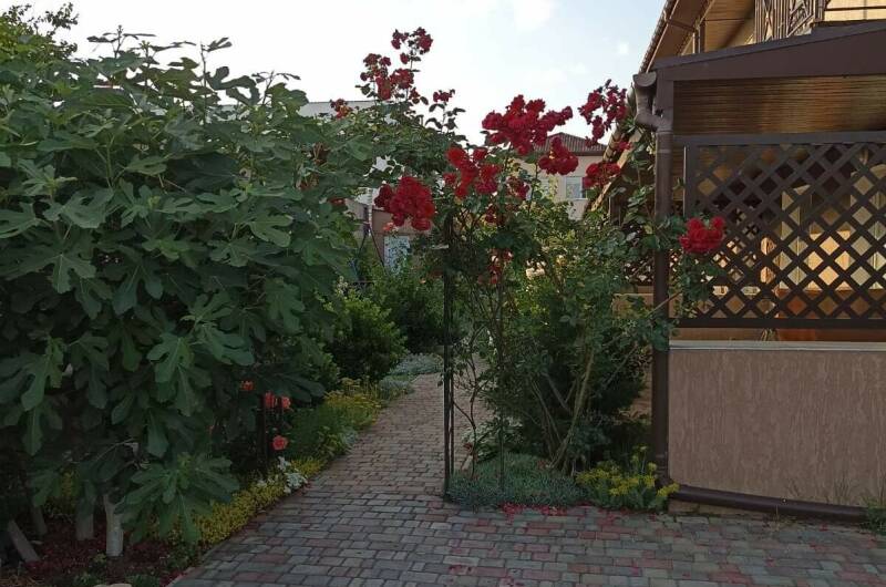 Изображение Изображение гостиницы &quot;Мини-пансионат «Гранд Мари»&quot; #4 #4