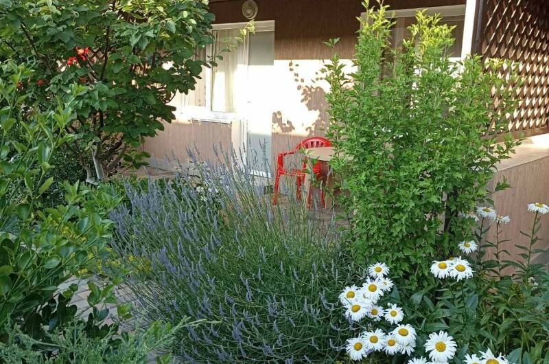 Изображение Изображение гостиницы &quot;Мини-пансионат «Гранд Мари»&quot; #7 #7