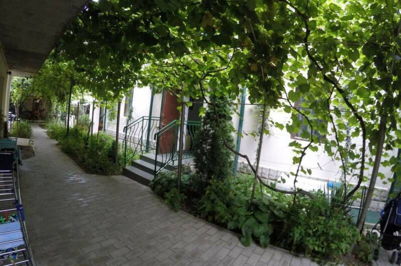 Изображение Изображение гостиницы "Гостевой дом «Южный»" #7 #7