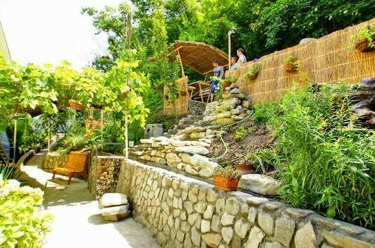 Изображение Изображение отеля / гостиницы "Гостиница «Кипр на Весне»" #10 #8